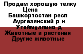 Продам хорошую телку › Цена ­ 30 000 - Башкортостан респ., Аургазинский р-н, Утеймуллино д. Животные и растения » Другие животные   